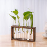 Creative Wooden Frame Hydroponic Plant Container Home Desktop Decorations