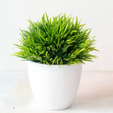 Simulation plant potted grass ball bonsai tree home decoration flower ornaments